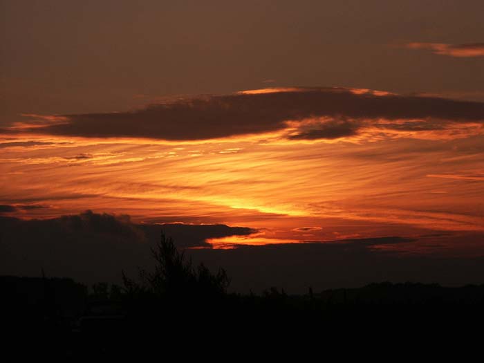sunset
